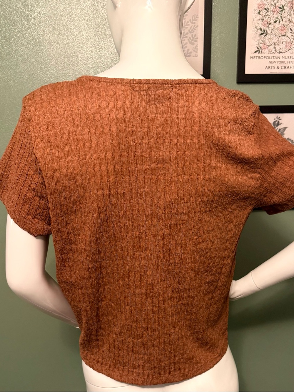 Sanctuary Rust Color  Tie-Front Short Sleeve Blouse NWT Size Small - Picture 2 of 8